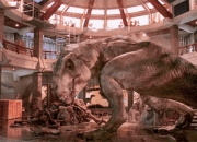 milan.com-醉酒熊今如何，副部成天热惨