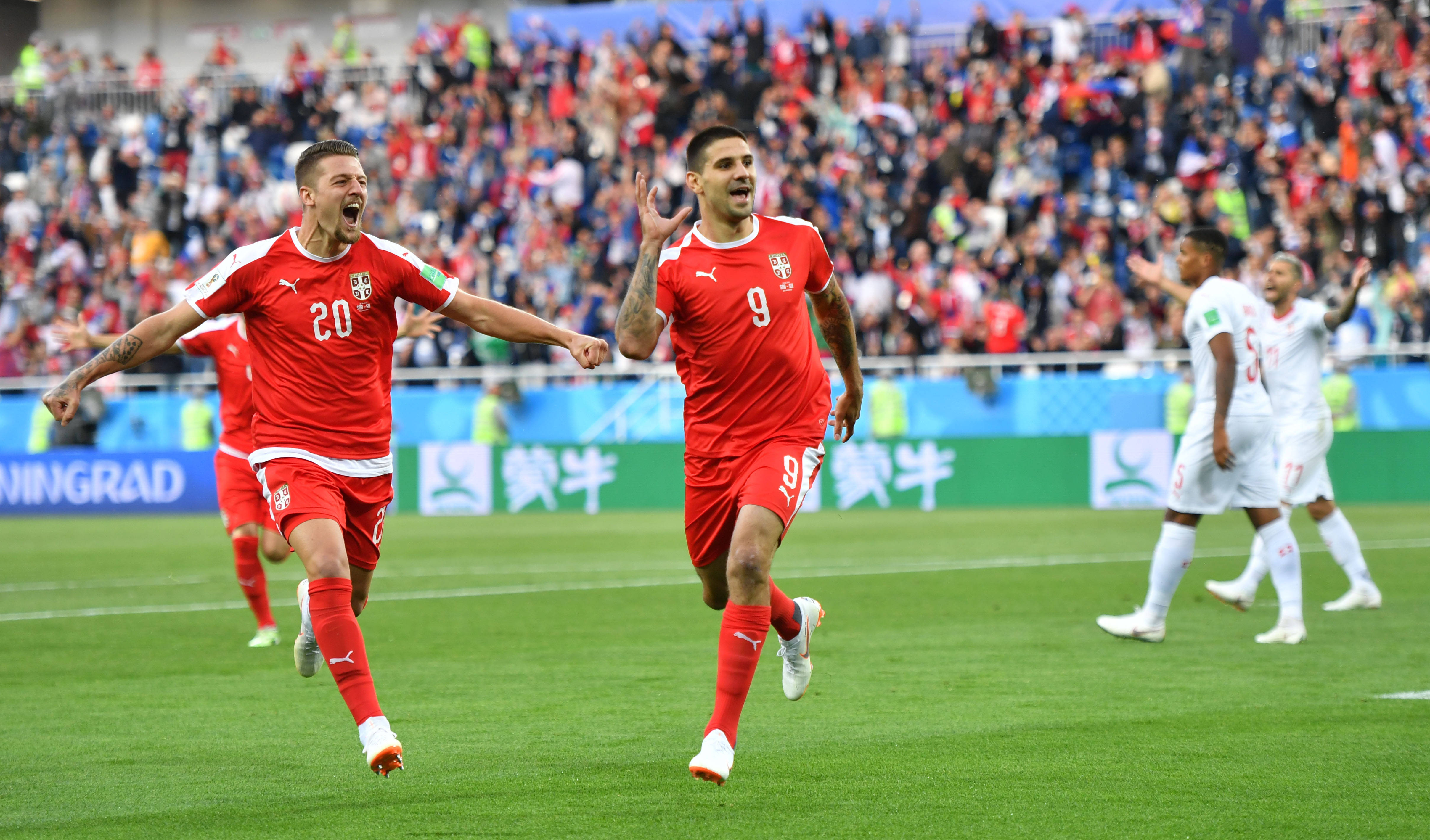 塞尔维亚迎战西班牙,强强对决引人关注 塞尔维亚迎战西班牙,强强对决引人关注