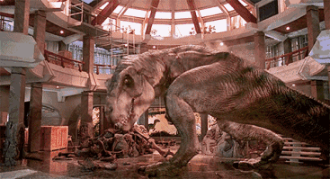 醉酒熊今如何，副部成天热惨