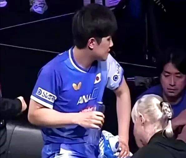 包含斗牛队逆袭胜利,实力不容忽视的词条 包含斗牛队逆袭胜利,实力不容忽视的词条